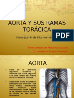 Aorta y Sus Ramas Toracicas