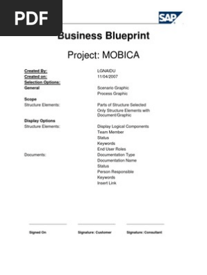 SAP FI Blueprint Document