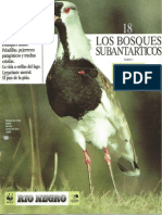 18. Los Bosques Subantárticos Parte 2