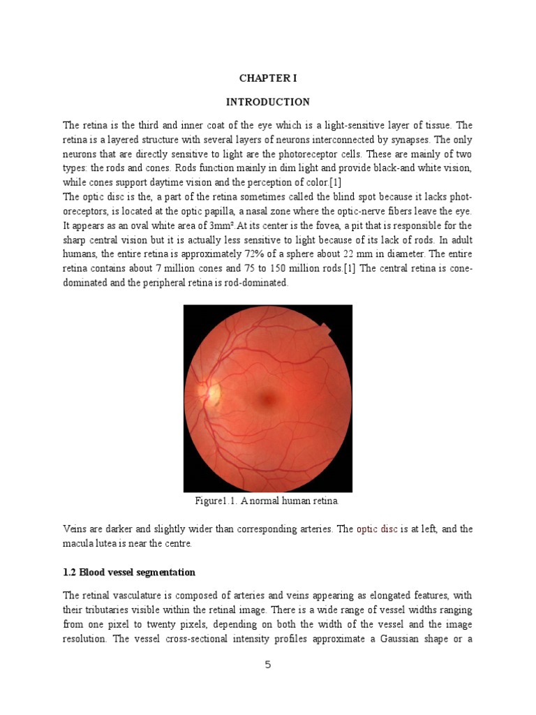 The Pulse Coupled Neural Network Matlab Retina - 