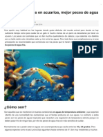 Mejores peces de agua fría para principiantes