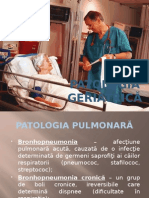 Patolocia geriatrica