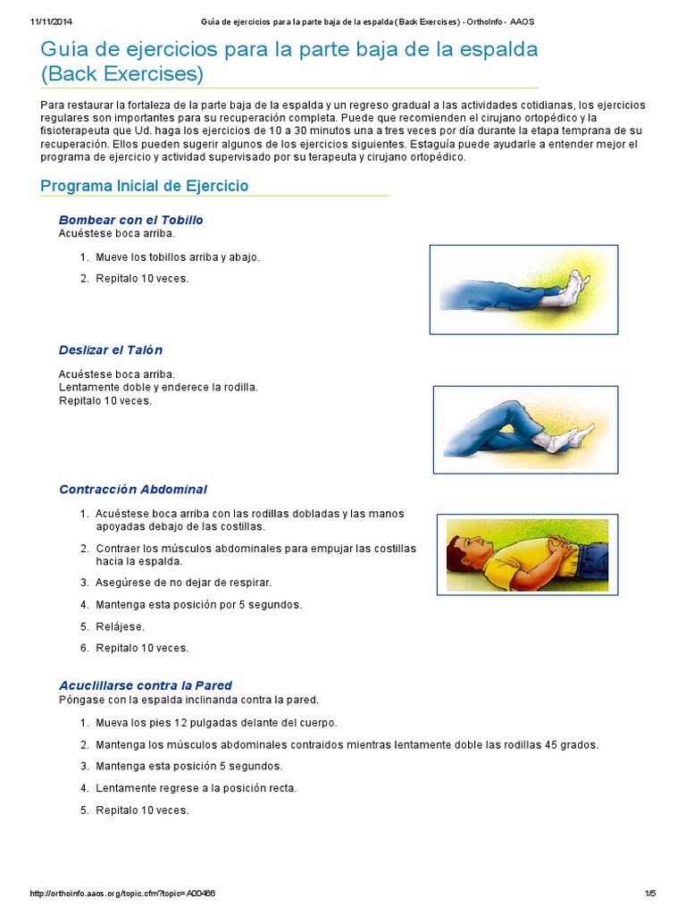 Guía de Ejercicios para La Parte Baja de La Espalda (Back Exercises