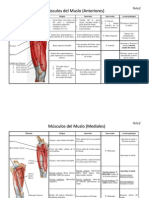 Anatomia Dos Musculos Do Corpo Humano