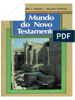 O Mundo Do Novo Test Amen To