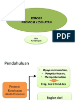 Promosi Kesehatan2