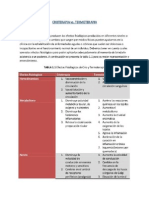 11 crioterapia vs termoterapia.pptx