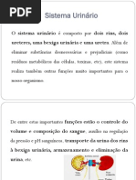 PPTS_UFCD_7212_Os sistemas do corpo humano_os sistemas urinÃƒÂ¡rio e gastrointestinal, os ÃƒÂ³rgÃƒÂ£os dos sentidos e a pele