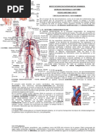 4 +guia+circulacion+humana