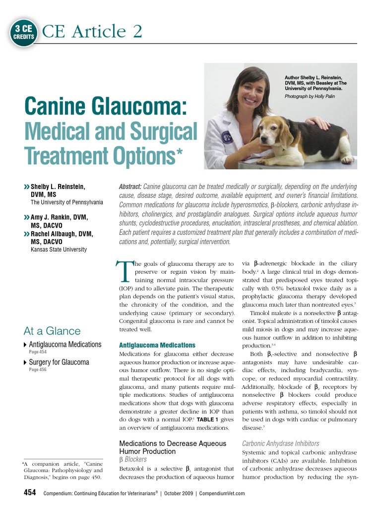 Canine Medical and Surgical Traetment Options PDF