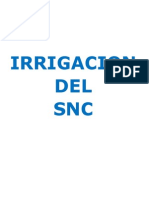 Irrigacion SNC PDF