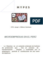 TODO SOBRE LAS MYPES