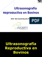 Curso Ultrasonografia Bovinos