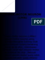 Lower Motor Neuron (LMN)