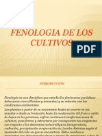 Fenología cultivos 40