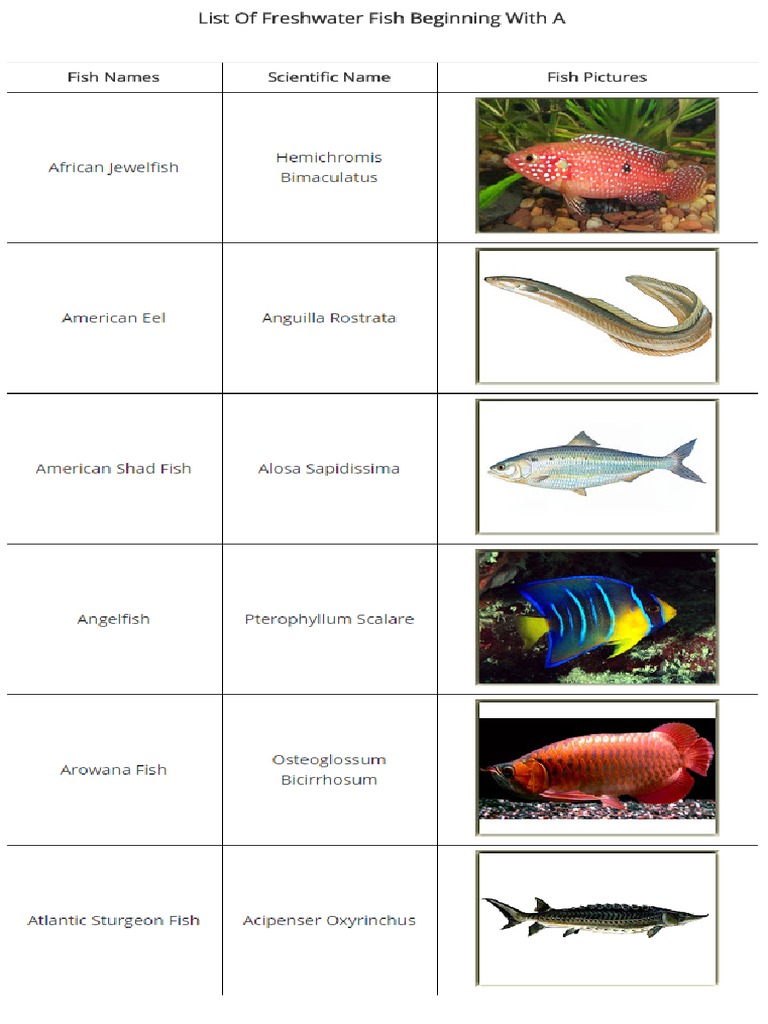List of Freshwater Fish Beginning With A Letter | PDF