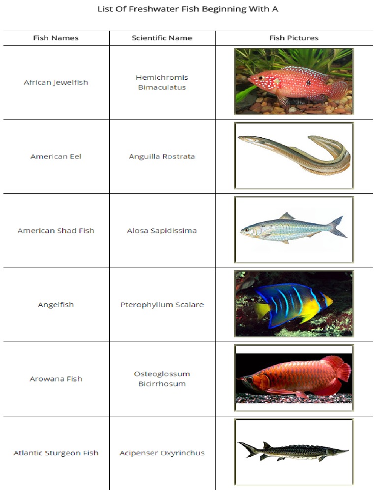 List of Freshwater Fish Beginning With A Letter