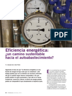 Eficiencia.pdf