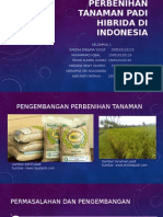 Sistem Perbenihan Tanaman Padi Hibrida Di Indonesia
