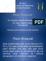 Plexo Braquial