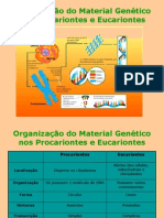 07organiza - o Do Material Gen-Tico Nos Procariontes e Eucariontes