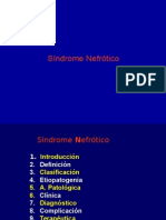 Sindrome Nefrótico