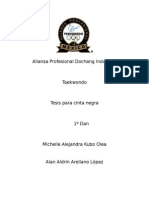 Alianza Profesional Dochang Insutrial.docx
