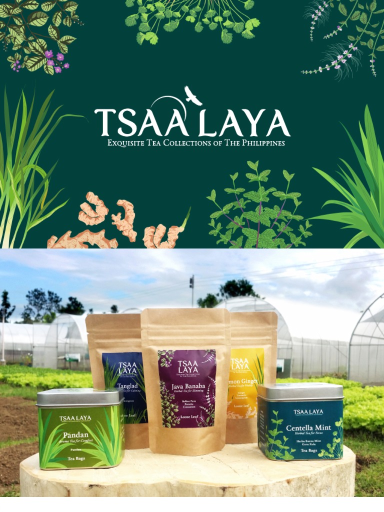 Tsaa Laya Brochure 2015 | PDF | Tea | Flavor