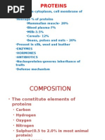 Amino Acids and Protein