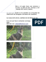 Ona, Gata Perdida en Zaragoza, en Zona Facultad de Veterinaria, Ctra. de Castellón