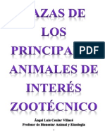 Razas de Animales