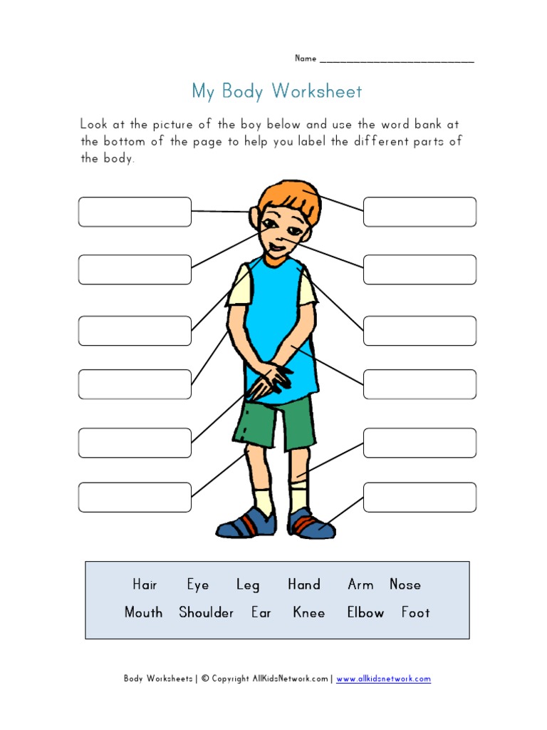 body parts worksheet pdf