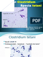 Clostridium Tetani