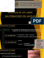 9. Patologia Labios, Malformac. Maxilar