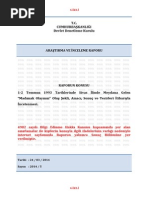 Devlet Denetleme Kurulu-Nun - Madımak Olayı - Na Ilişkin Raporu