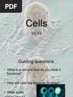 Download Cells 6th grade by pauleyler SN2818322 doc pdf