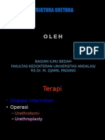 Striktura Urethra: Bagian Ilmu Bedah Fakultas Kedokteran Universitas Andalas/ Rs Dr. M. Djamil Padang