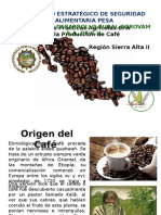 Estrategia de seguridad alimentaria para el café