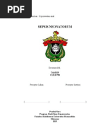 Download Lp Sepsis Neonatorum  by TamrinNurs SN281886861 doc pdf