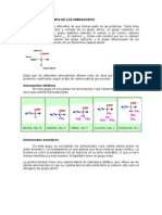 Estructura y Clasificación de Los Aminoácidos