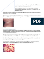 Guía de ETS: síntomas, transmisión y tratamiento de las enfermedades de transmisión sexual más comunes