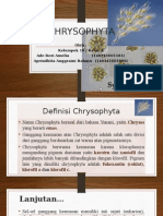 Chrysophyta - KL 10
