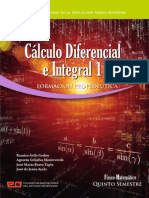 FP5S Caldifeintegral1 PDF