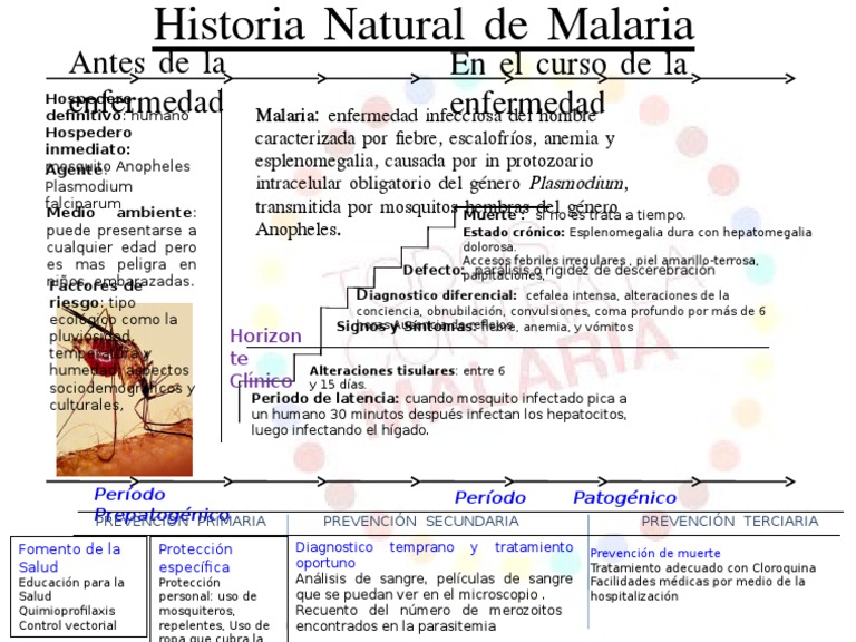 historia natural de la malaria
