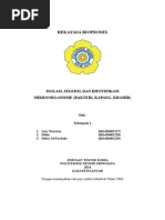 Download Isolasi Seleksi Identifikasi Mikroorganisme by meimei SN281928436 doc pdf