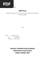 Download MAKALAH REPTILIAdocx by Mora Habella Sinta SN281935503 doc pdf