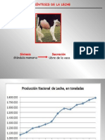 clase02a-Biosintesis de la leche.ppt