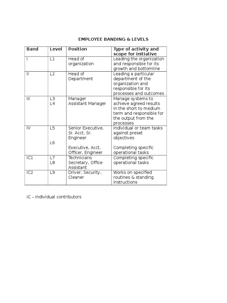 Employee Banding & Levels Band Level Position Type of Activity and Scope For Initiative PDF