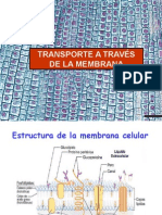 Transporte Membrana Celular2159