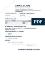 Curriculum Vitae